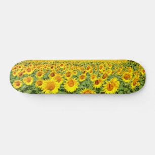 Skateboard Terrain de tournesol