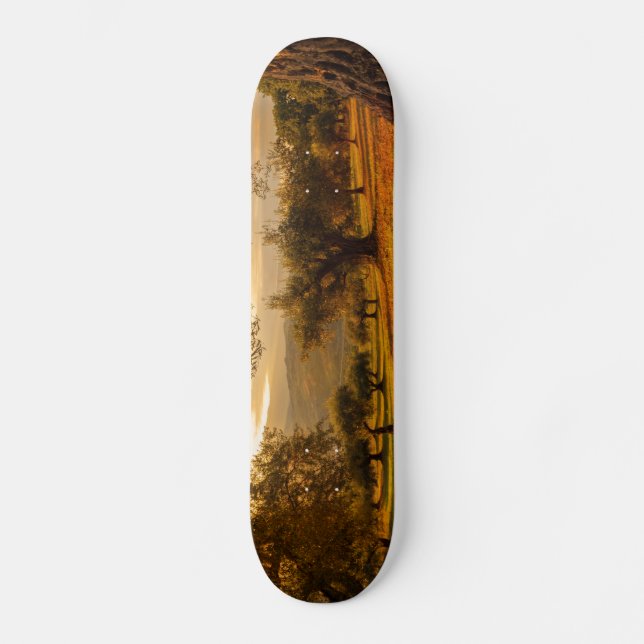 Skateboard Terre d'automne (Recto)