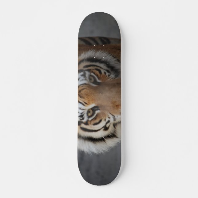 Skateboard Tiger (Devant)