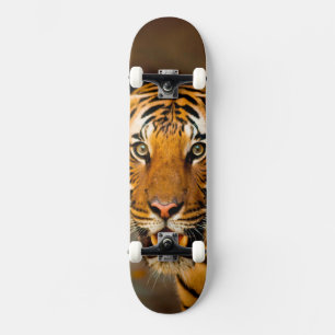 Skateboard Tigre