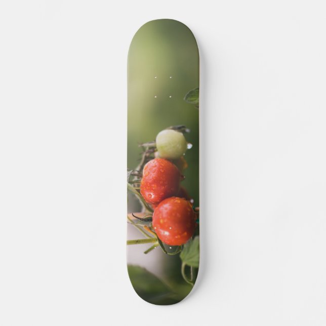 Skateboard tomates mouillées sur la vigne (Recto)