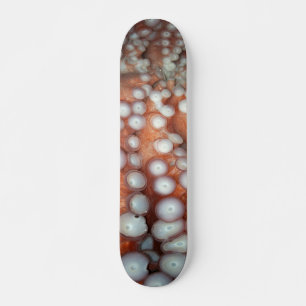 Skateboard Tomber près de la pieuvre