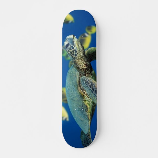 Skateboard Tortue de mer verte (Devant)