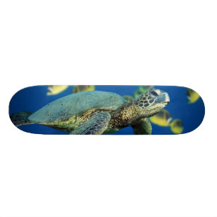 Skateboard Tortue de mer verte