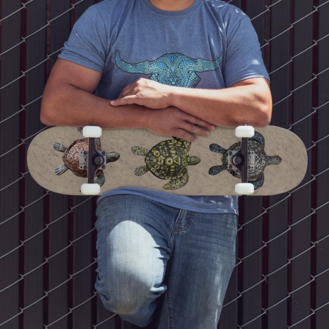 Skateboard Tortues (Extérieur 3)