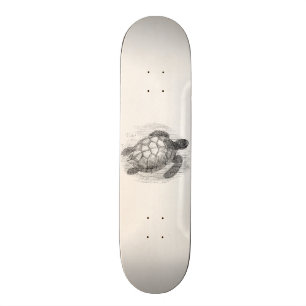 Skateboard Tortues marines personnalisées vintages de tortue