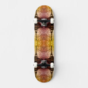 Skateboard Tour vintage Paris Eiffel