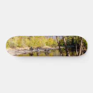 Skateboard Traversée De La Rivière Buffalo