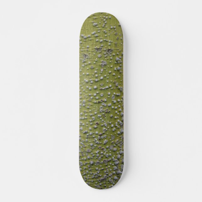 Skateboard Tronc d'arbre épineux vert (Devant)