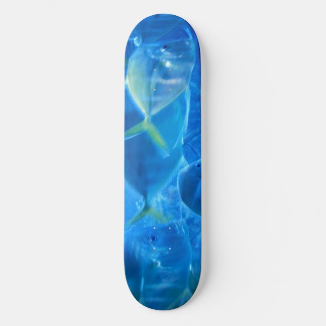 Skateboard "Tropical Fish" (Recto)