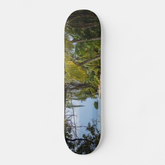 Skateboard Tropical Grove (Recto)