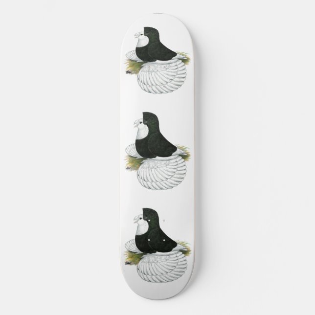 Skateboard Trumpeter Pigeon tête noire (Recto)