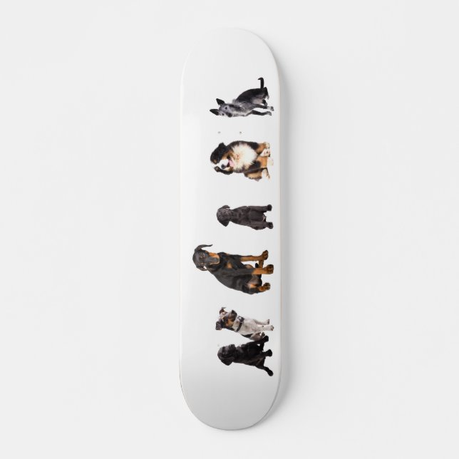 Skateboard un tas de chiens (Devant)