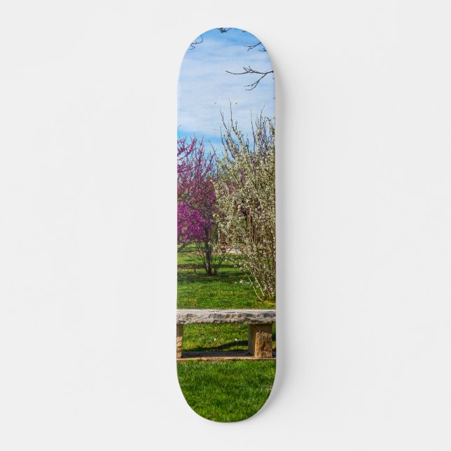 Skateboard Une saison printanière (Devant)