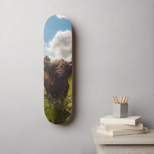 Skateboard Vache noire pâturage vert champ soleil