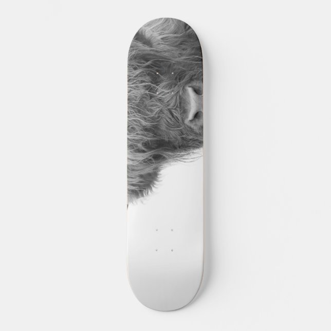 Skateboard Vaches Highland Noir et Blanc #4 (Recto)