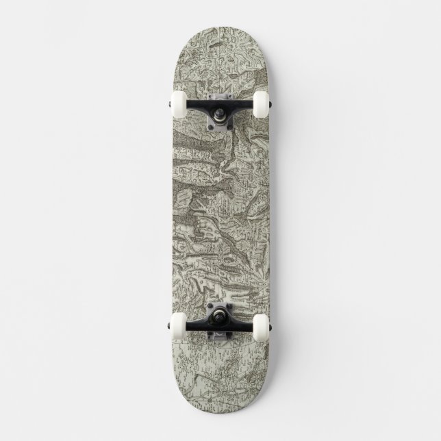 Skateboard Valence (Recto)