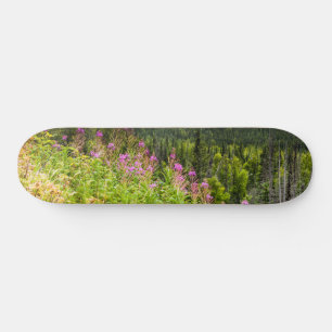 Skateboard Vallée de Matanuska, centre-sud de l'Alaska