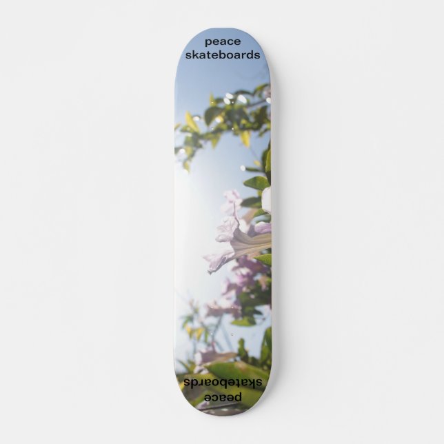 Skateboard voir le tableau de bord (Devant)