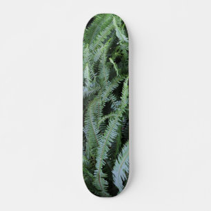 Skateboard Vol sur les fougères