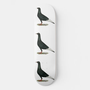 Skateboard Vol vol Pigeon noir