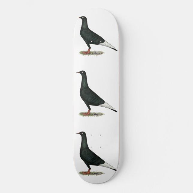 Skateboard Vol vol Pigeon noir (Recto)