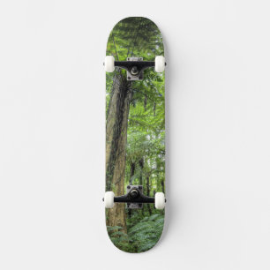 Skateboard Vue de la végétation dans les jardins botaniques d