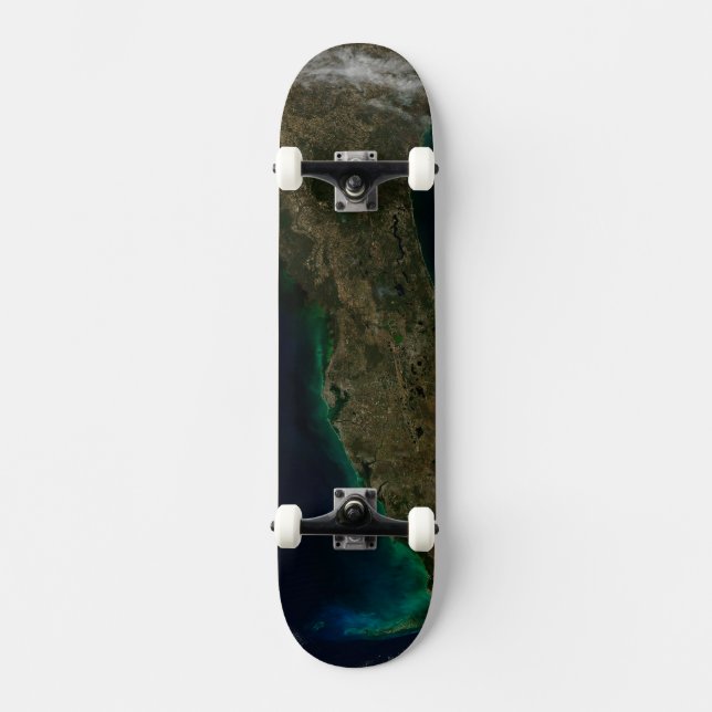 Skateboard Vue Satellite Sur La Floride. (Recto)