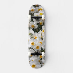 Skateboard WA, vallée de Skagit, motif de jonquilles