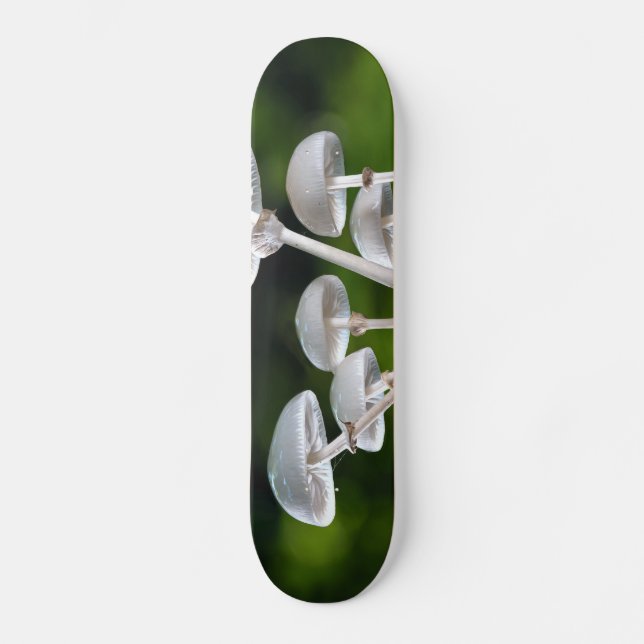 Skateboard White Oyster Autumn Mushrooms (Recto)
