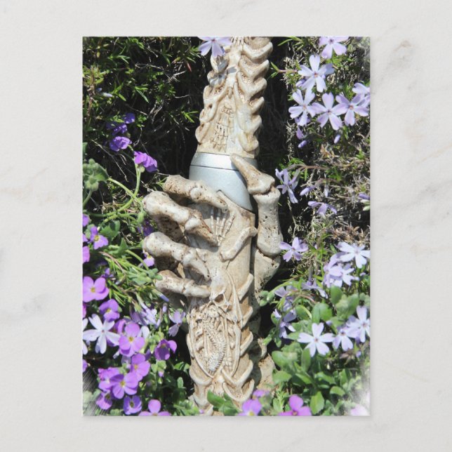 Skelethand - Gothic / carte postale (Devant)