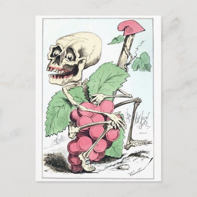 Skeleton grappe theif carte postale vintage (Devant)