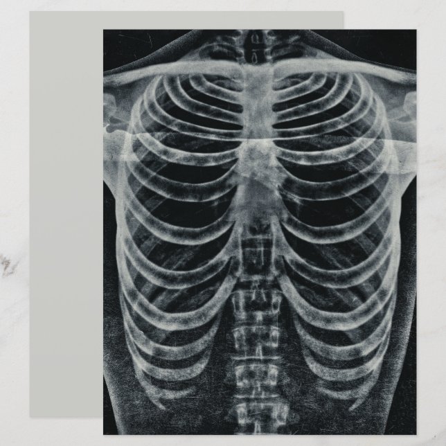 Skeleton Xray Rib Cage Vintage noir blanc gothique (Devant / Derrière)