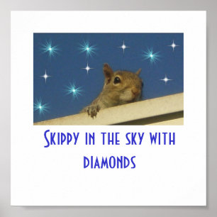 Skippy dans le ciel avec des diamants Poster