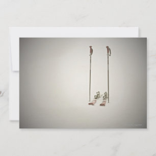 Skis et pôles vides