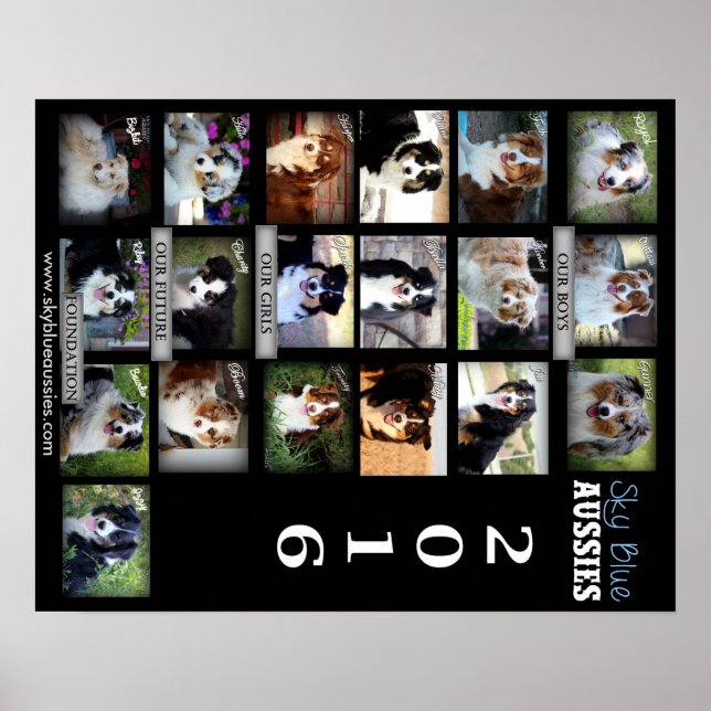 Sky Blue Aussies 2016 POSTER (Devant)