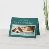 Sleepy Basset Sur La Carte D'Anniversaire "Animal 