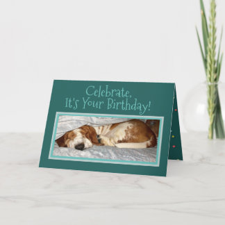 Sleepy Basset Sur La Carte D'Anniversaire "Animal