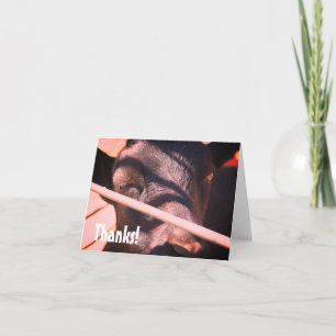 Sleepy Bull Farm Animal Nature Carte de remercieme