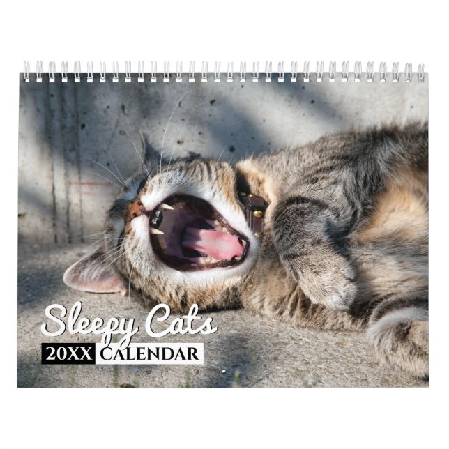 Sleepy Cats Calendrier des Murs Photo (Protection)