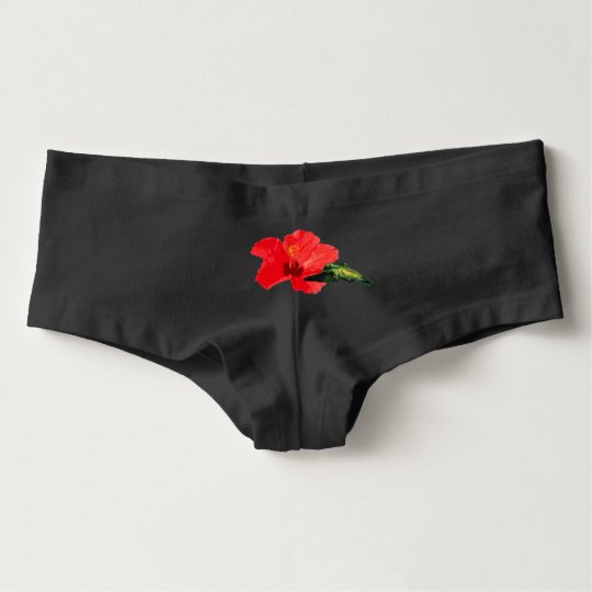 Slips Colibri pour femme d'American Apparel