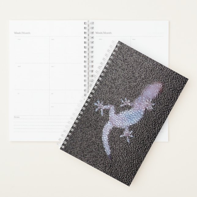 Sm Planner Gecko sur le verre (Devant avec enveloppe)