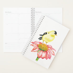 Sm Planner Goldfinch sur Coneflower