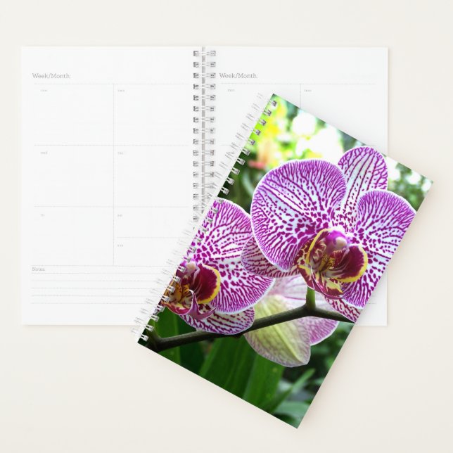 Sm Planner Orchidées à rayures violettes (Devant avec enveloppe)