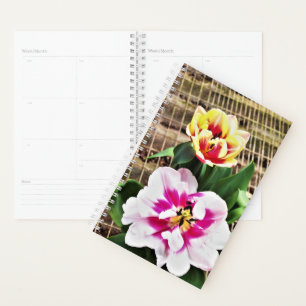Sm Planner Tulipes Rose/Jaune