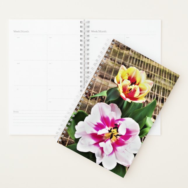 Sm Planner Tulipes Rose/Jaune (Devant avec enveloppe)