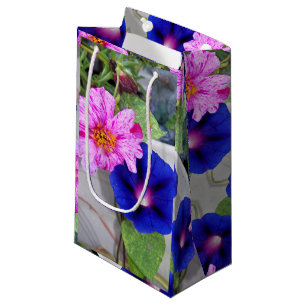 Sm Sac Cadeau Portulaca & Morning Glory