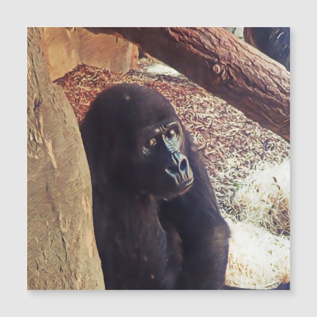 SmartMix Animal-Gorilla (Devant)