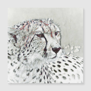 smartmix animal - guépard
