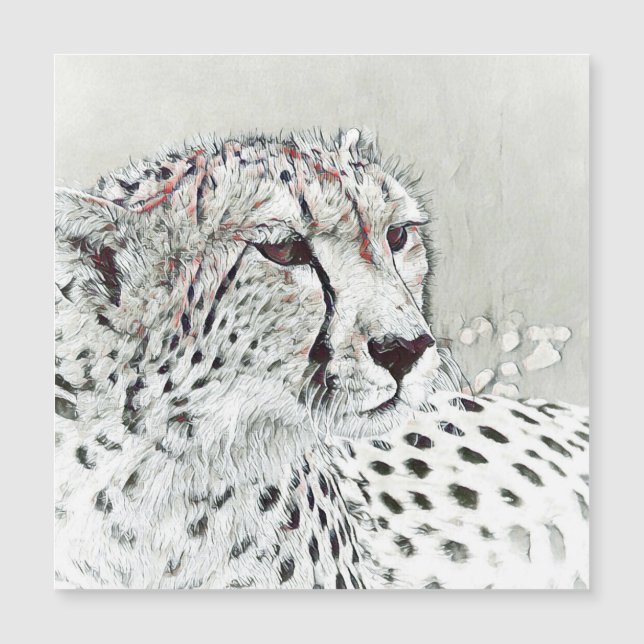 smartmix animal - guépard (Devant)